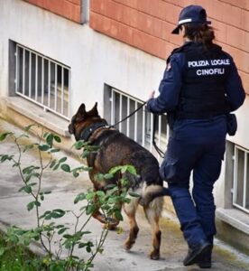 Alessandria blitz della Polizia in una scuola 2