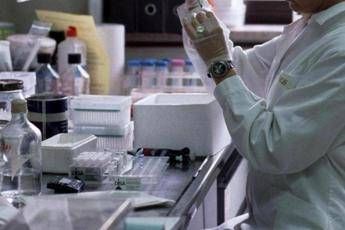 Cancro gastrico metastatico, anticorpo farmaco-coniugato migliora sopravvivenza