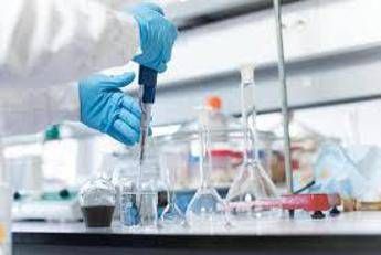 Farmaci: studi, molecola sperimentale riduce declino funzionalità polmonare in Ipf e Ppf