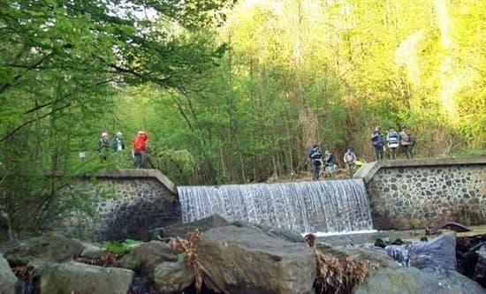 Liguria immissioni di trote previste dalla carta ittica regionale