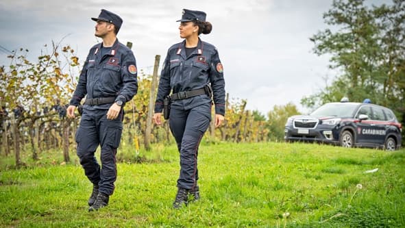 Carabinieri concorso per il reclutamento di 4918 allievi