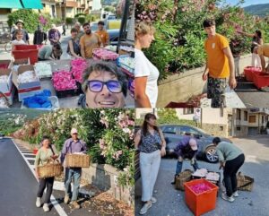 Infiorata Corpus Domini raccolta 2025 Scasso