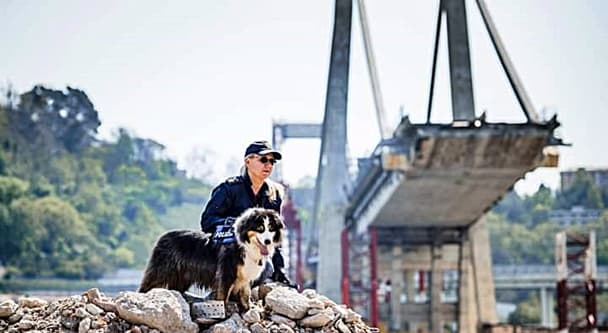 Genova è mancato Night Spirit il cane della Polizia, eroe del ponte Morandi
