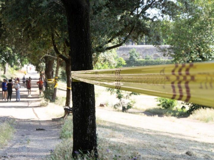 Omicidi Villa Pamphili, Kaufmann al pm: “Sono innocente”