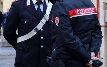 Piacenza, feto abbandonato nel cestino dell’ospedale