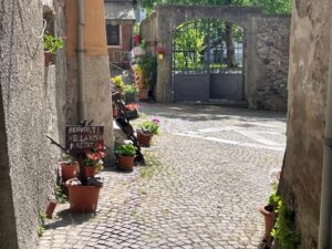 Sassello in centro tutti invasati 4