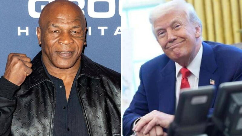 “Trump, cambia la legge sulla cannabis”: la lettera delle star al presidente