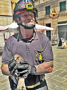 Vigili del fuoco Genova in soccorso a due animali 1