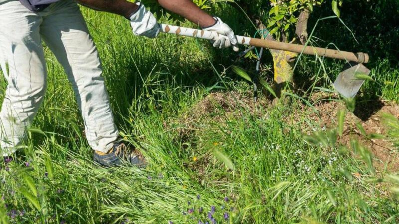 Caldo, Rebuzzi: “Può uccidere, impedire lavoro all’aperto nella morsa dell’afa”