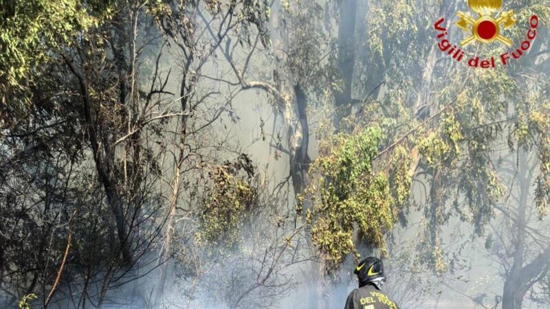 Incendio a Roma ovest, rogo di sterpaglie minaccia case e negozi