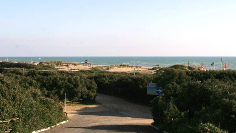 Ostia, medici Sima: “Preoccupazione per spiagge ‘Cancelli’ senza bagni con caldo estremo”