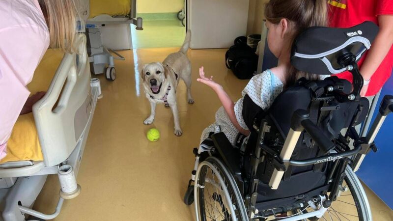 Sma, al Besta studio benefici pet therapy con Purina e Frida’s Friends