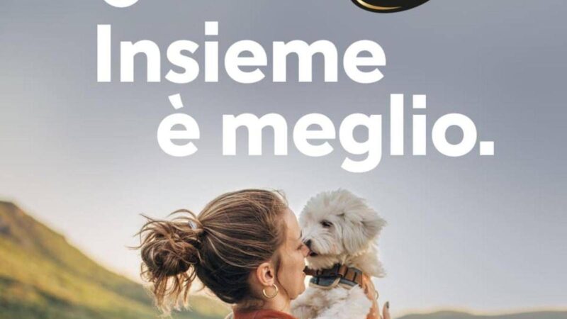 Vacanze, quasi la metà italiani rinuncia a viaggiare con il proprio cane