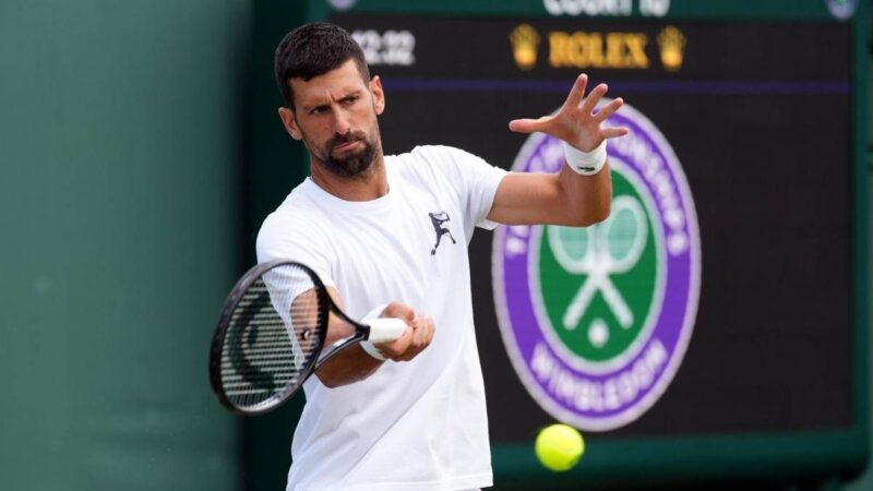 Wimbledon, oggi Djokovic-Muller – Il match in diretta