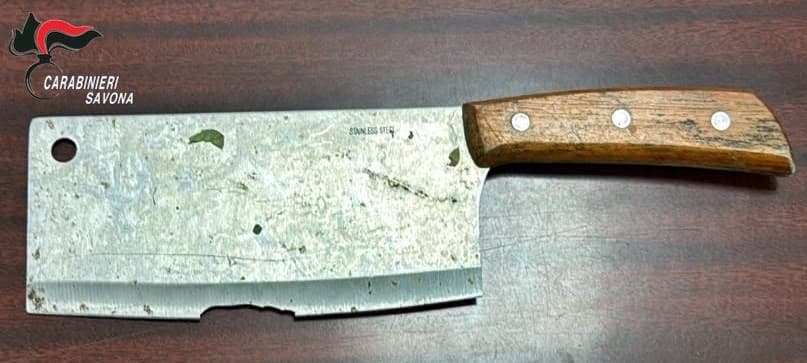 Arrestato per lesioni aggravate al fratello nel ponente savonese