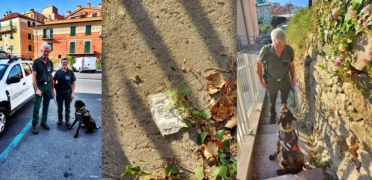 Bocconi avvelenati a Cantalupo di Varazze, bonificata via Bonfante
