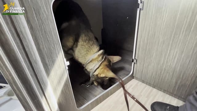 Savona 34 kg di cocaina sul camper, valore 2 mln, 2 corrieri arrestati – VIDEO