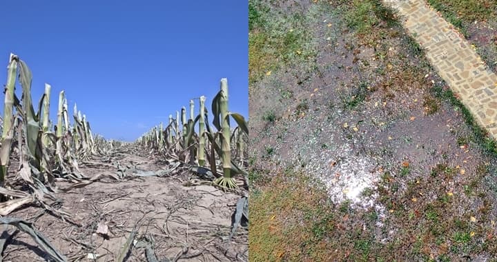 Coldiretti Liguria: “L’acqua va raccolta quando c’è, per averla quando manca”