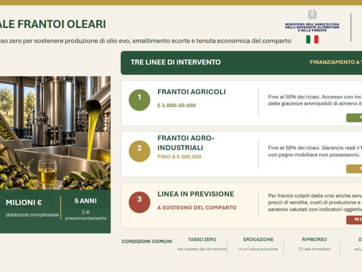 Agricoltura, Ismea: 40 mln per frantoi con ‘Cambiale Frantoi Oleari’
