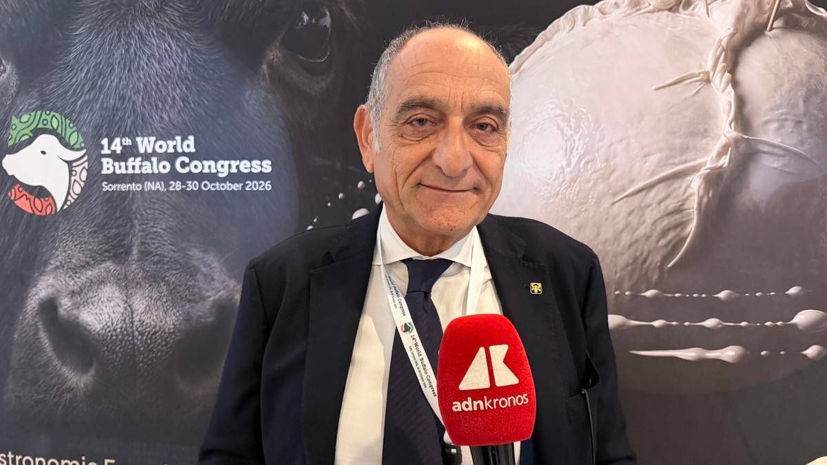 Campanile (Buffalo Federation), “Robotica e genomica cambieranno l’allevamento”