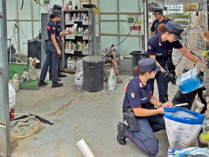 Controlli carabinieri forestali nel savonese: 8 denunciati e sequestri rifiuti
