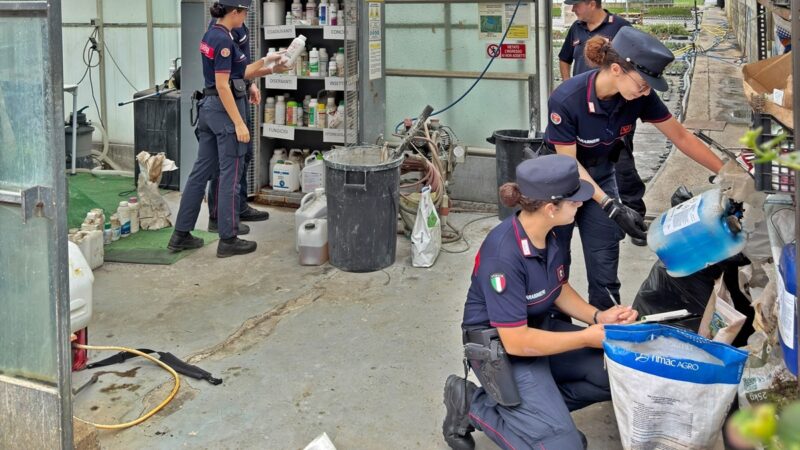 Controlli carabinieri forestali nel savonese: 8 denunciati e sequestri rifiuti