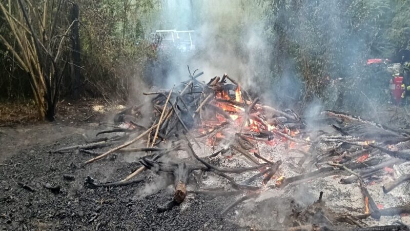 Forestali denunciano piromane per 9 incendi boschivi dolosi a Mondovì