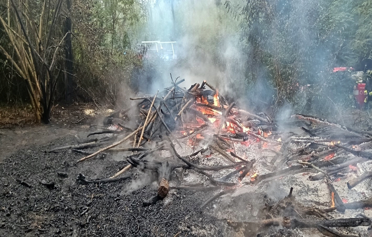 Forestali denunciano piromane per 9 incendi boschivi dolosi a Mondovì