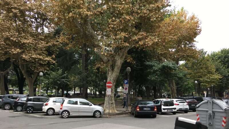 Forti temporali nel savonese, donna colpita da un ramo