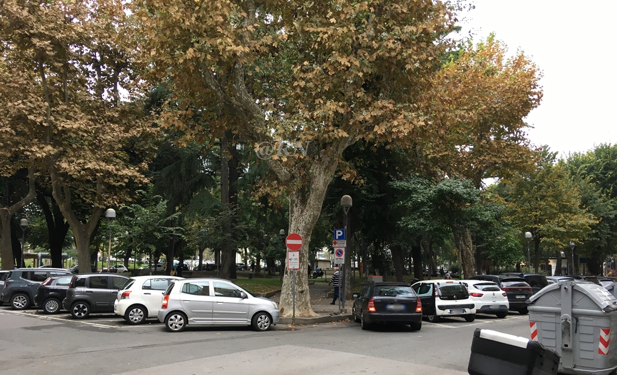 Forti temporali nel savonese, donna colpita da un ramo