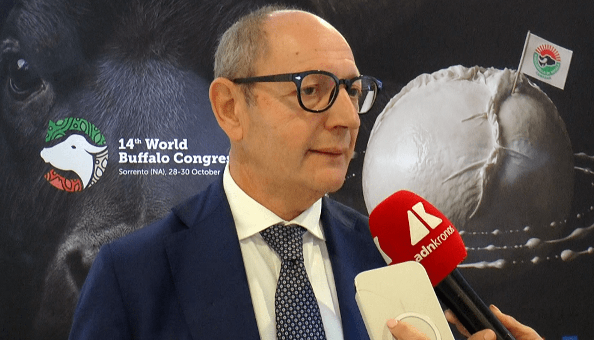 Raimondo (Tutela mozzarella bufala campana Dop): “Filiera 1,2-1,3 mld, quasi una Fiat”