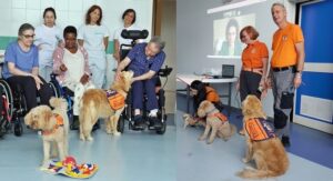 Santa Corona Pet Therapy (2)
