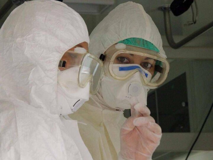 Virus Shamonda, Lopalco: “È favorito da crisi climatica, svegliamoci”