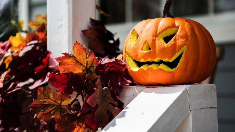Zucca e semi di zucca: il lato sorprendente (e sano) di Halloween